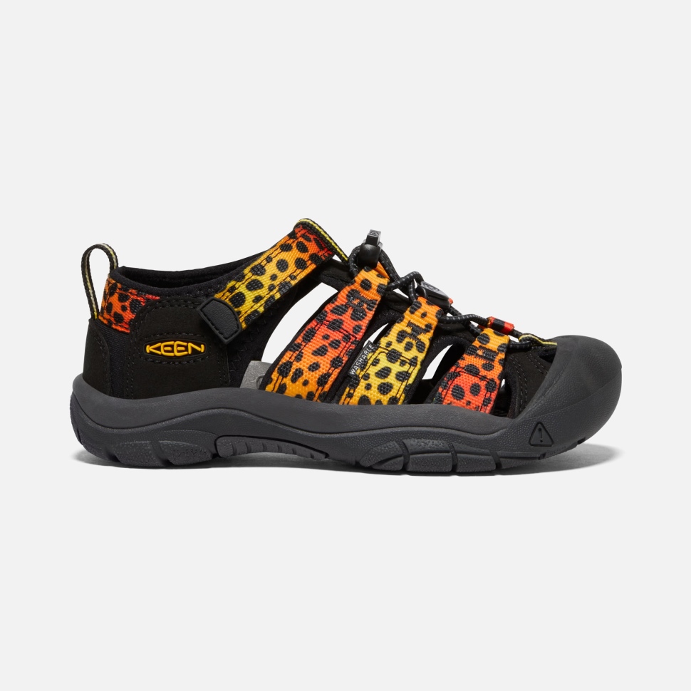 cheetah_rainbow_big_kids_newport_h2_keen.jpg Cheetah Rainbow Big Kids' Newport H2 Keen - Image 1